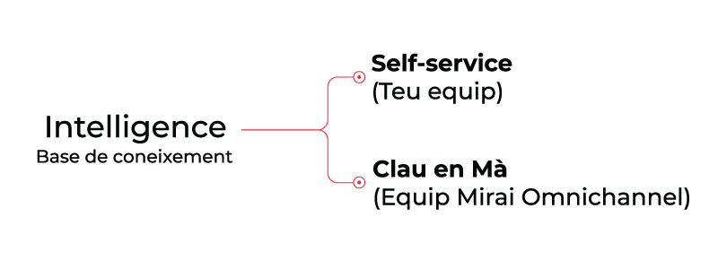 Mirai Intelligence base coneixement