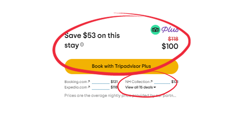competir tripadvisor canal directo propio Mirai