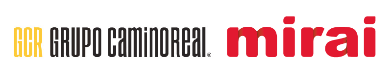 mirai google caso exito grupo camino real